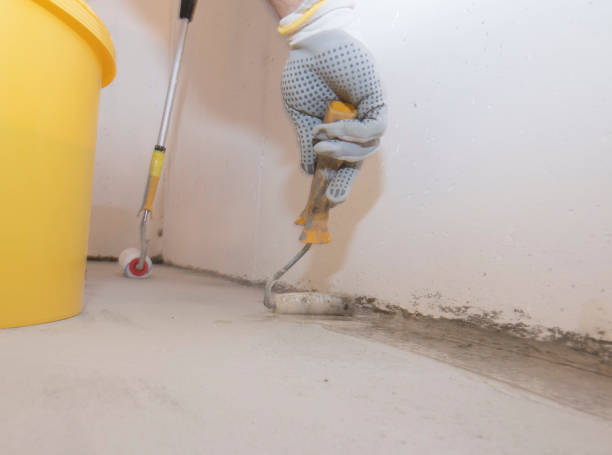 Best Pest Prevention Services  in Buffalo, NY